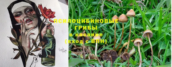 трава Надым