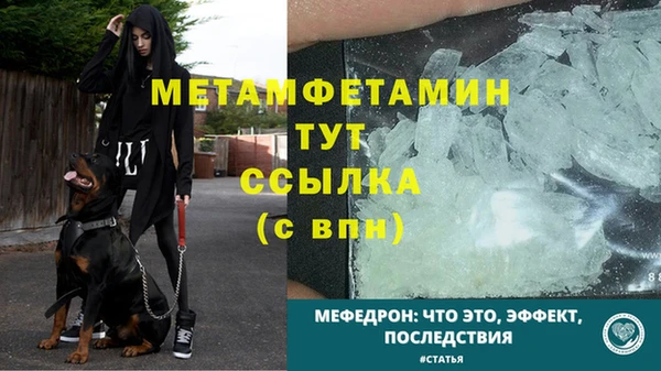 трава Надым