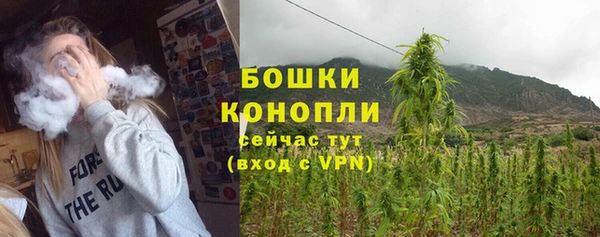 трава Надым