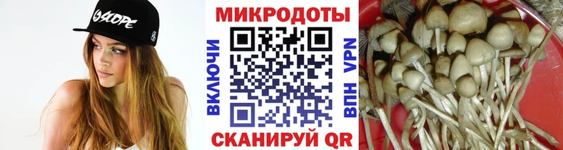 Галлюциногенные грибы Psilocybine cubensis  как найти закладки  Омск 