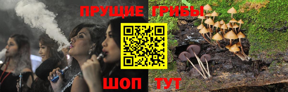 Псилоцибиновые грибы Psilocybine cubensis  Вход с VPN  Омск  Галлюциногенные грибы Cubensis 